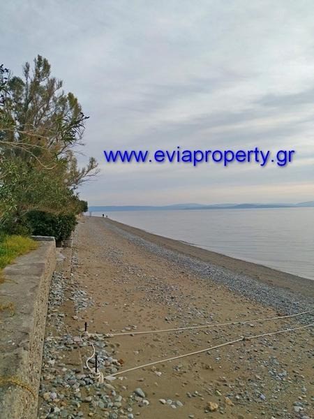 Οικόπεδο 300 τ.μ. προς πώληση, Ροβιές
