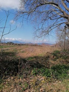 Land plot 2.667sqm for sale-Istiaia » Nea Sinasos