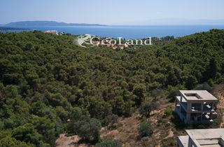 Συγκρότημα διαμερισμάτων 435 τ.μ. προς πώληση, Οικισμός Δικηγόρων-thumb-8