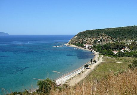 Αγροτεμάχια 9.200 τ.μ. προς πώληση