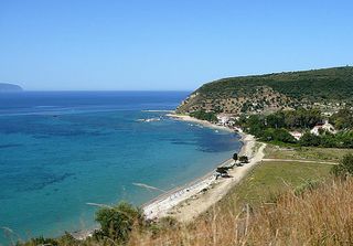 Αγροτεμάχια 9.200 τ.μ. για πώληση