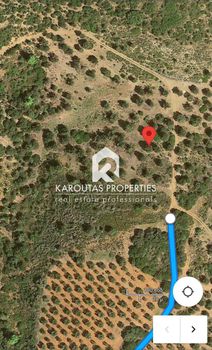 Parcel 13.250sqm for sale-Stagiron - Akanthou » Koumitsa