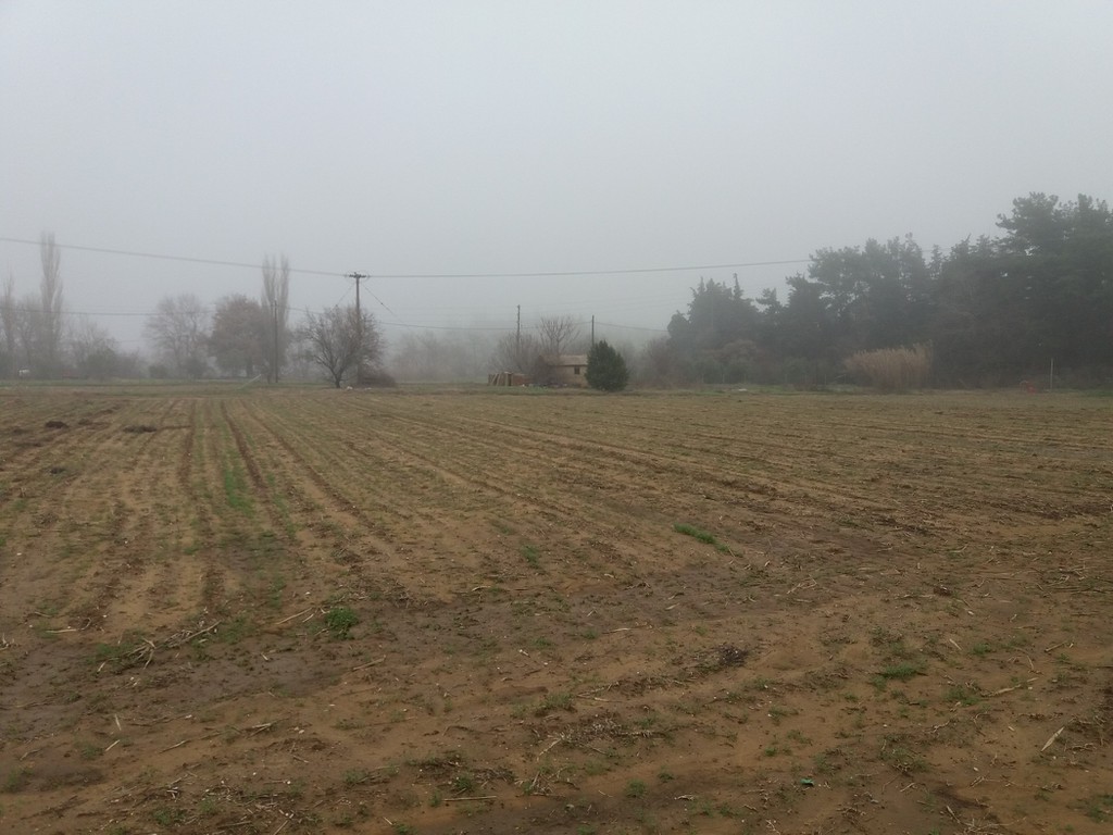 Αγροτεμάχια 12.000 τ.μ. πρός πώληση, Εβρος, Αλεξανδρούπολη