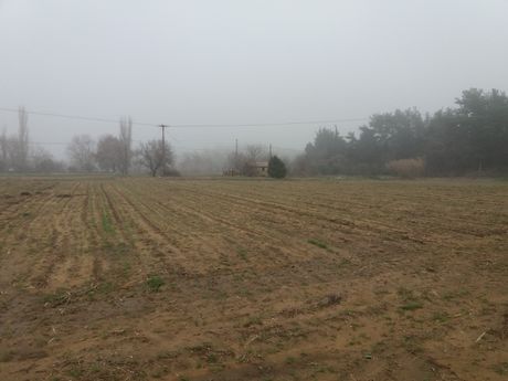 Αγροτεμάχια 12.000 τ.μ. προς πώληση