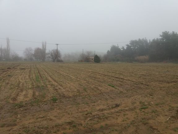 Αγροτεμάχια 12.000 τ.μ. προς πώληση