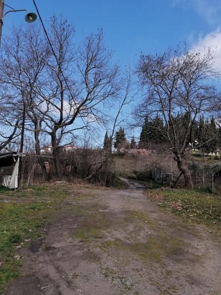 Οικόπεδο 18.896 τ.μ. προς πώληση, Νέα Σινασός