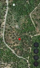 Αγροτεμάχια 7.000 τ.μ. για πώληση, Αχαΐα, Αίγιο-thumb-2