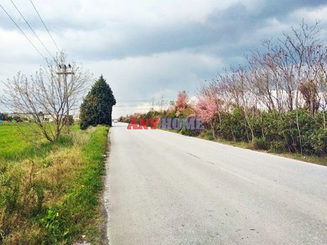 Αγροτεμάχια 8.500 τ.μ. για πώληση