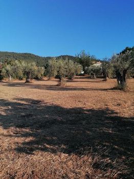 Land plot 1.000sqm for sale-Limni » Mirtias
