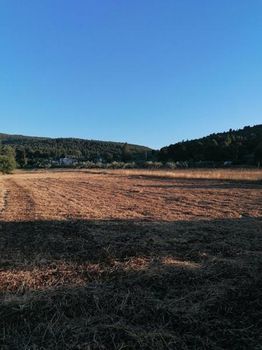 Land plot 1.500sqm for sale-Limni » Mirtias