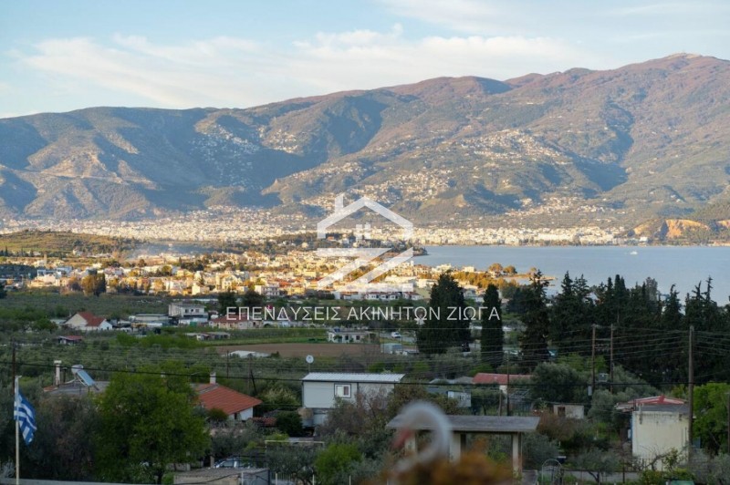 Βίλλα 700 τ.μ. πρός πώληση, Μαγνησία, Βόλος