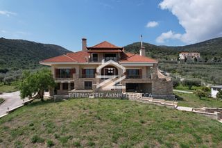 Βίλλα 700 τ.μ. για πώληση