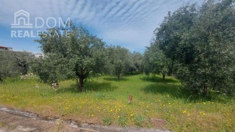 Οικόπεδο 1.000τ.μ. για πώληση-Καμένα βούρλα » Κέντρο