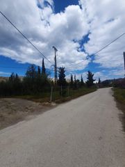Οικόπεδο 285 τ.μ. προς πώληση, Κορινθία, Ξυλόκαστρο-thumb-8
