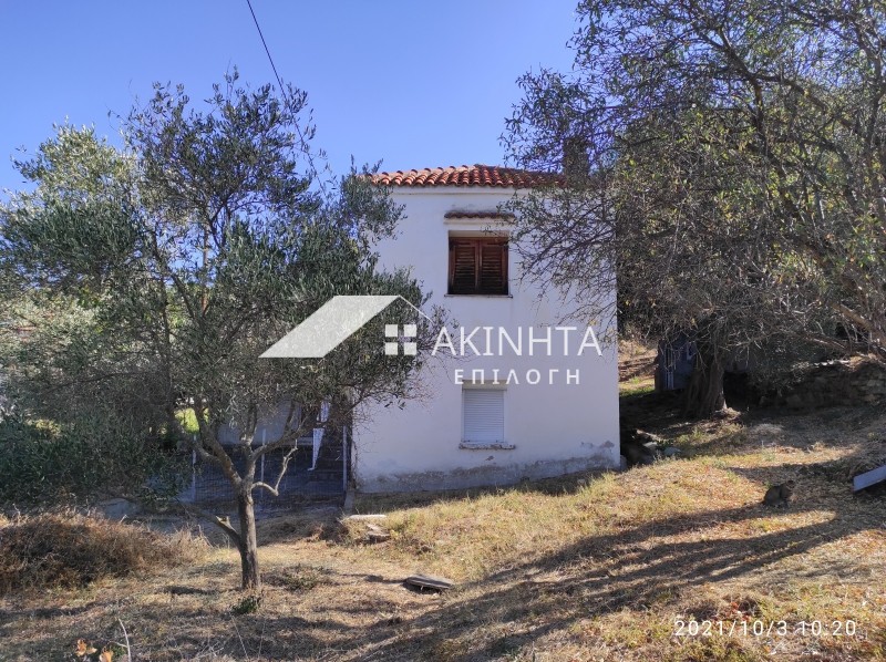 Μονοκατοικία 60 τ.μ. πρός πώληση, Εβρος, Αλεξανδρούπολη