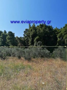 Land plot 500sqm for sale-Limni » Palaiochori