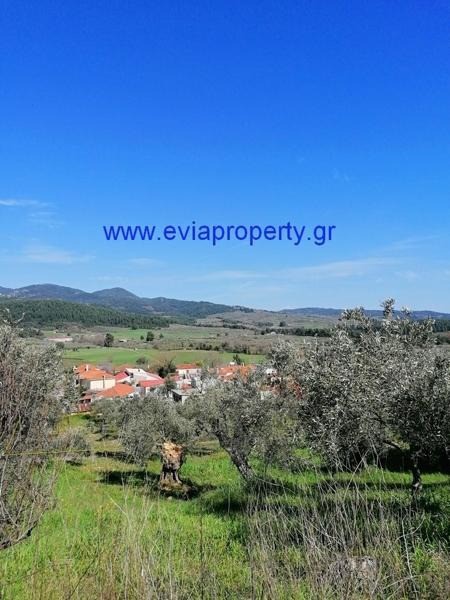 Οικόπεδο 600 τ.μ. προς πώληση, Δάφνη Λίμνης