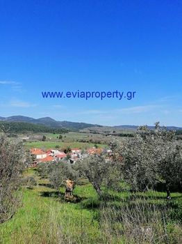 Land plot 600sqm for sale-Limni » Dafni