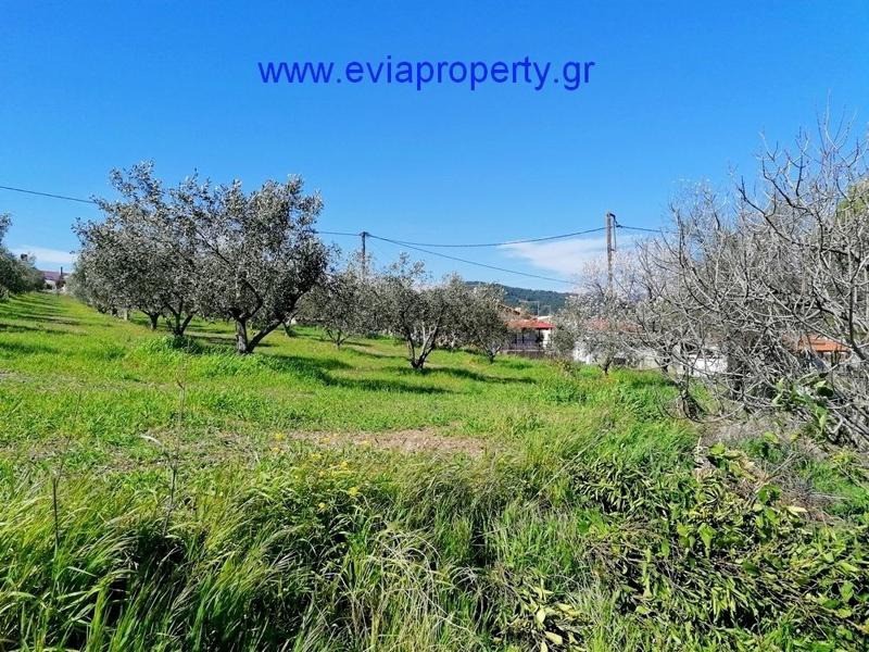 Οικόπεδο 600 τ.μ. προς πώληση, Δάφνη Λίμνης
