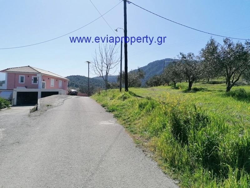 Οικόπεδο 600 τ.μ. προς πώληση, Δάφνη Λίμνης