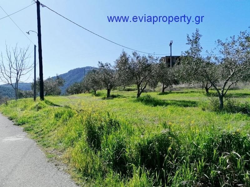 Οικόπεδο 600 τ.μ. προς πώληση, Δάφνη Λίμνης