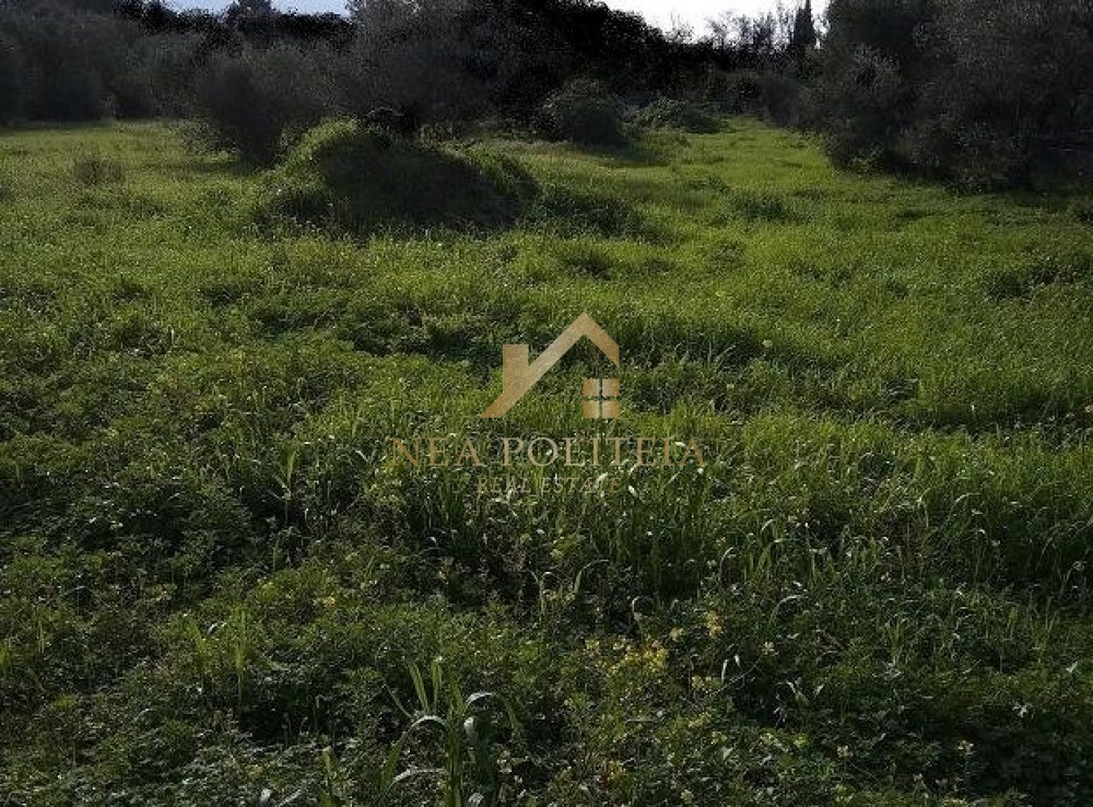 Οικόπεδο 250 τ.μ. πρός πώληση, Θεσσαλονίκη - Περιφ/Κοί Δήμοι, Σταυρούπολη
