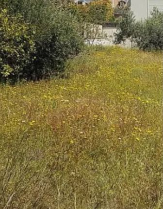 Land plot 910 sqm for sale, Athens - South, Argyroupoli