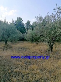 Parcel 5.594sqm for sale-Limni » Rovies