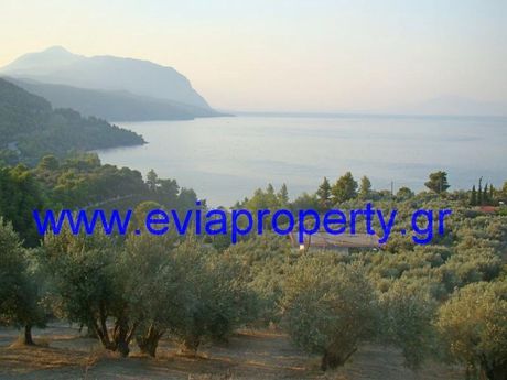 Parcel 4.450sqm for sale-Limni » Sipiada