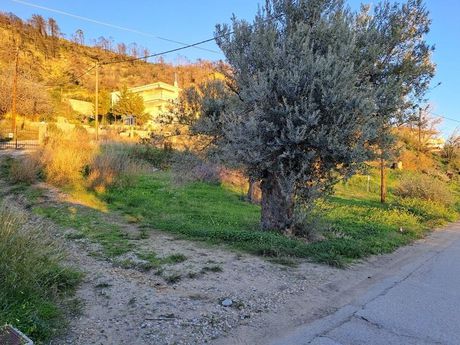 Parcel 843sqm for sale-Limni » Chronia