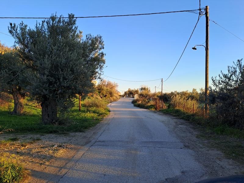 Αγροτεμάχια 843 τ.μ. προς πώληση, Χρόνια