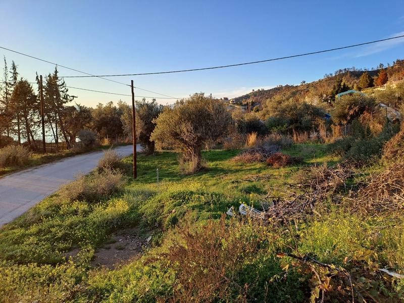 Αγροτεμάχια 843 τ.μ. προς πώληση, Χρόνια