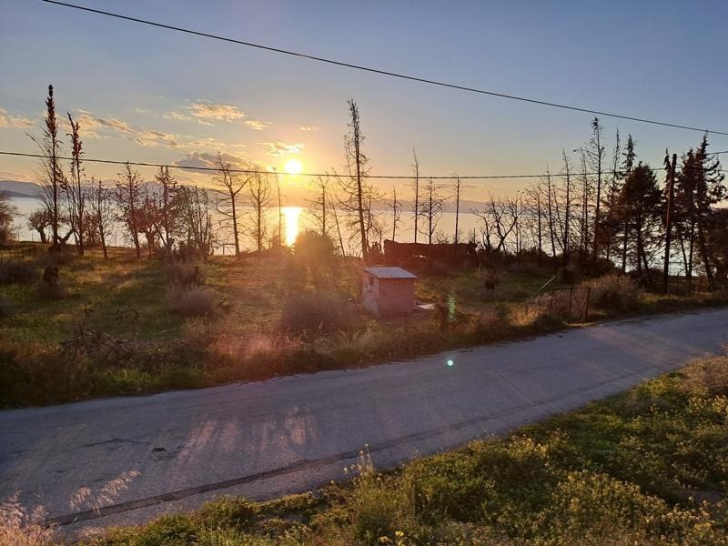 Αγροτεμάχια 843 τ.μ. προς πώληση, Χρόνια