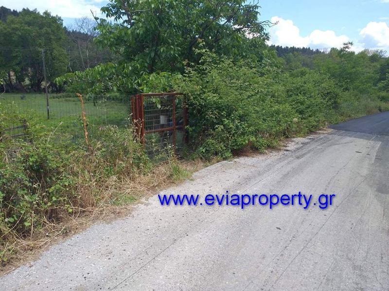 Αγροτεμάχια 1.825 τ.μ. προς πώληση, Σπαθάρι