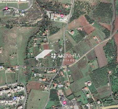 Αγροτεμάχια 12.966τ.μ. για πώληση-Αλεξανδρούπολη » Νέα χιλή