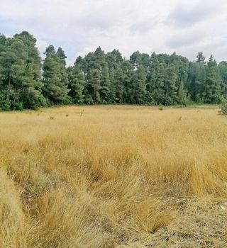 Parcel 4.620sqm for sale-Kirea » Prokopi
