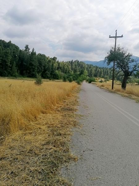 Αγροτεμάχια 4.620 τ.μ. προς πώληση, Προκόπι