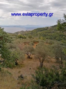 Parcel 2.876sqm for sale-Limni » Mirtias