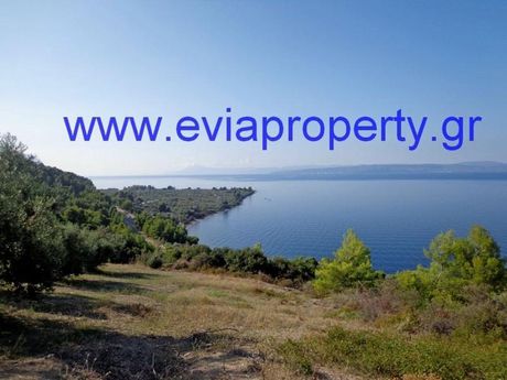 Parcel 18.000sqm for sale-Limni » Chronia