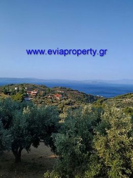 Parcel 2.000sqm for sale-Limni » Mirtias