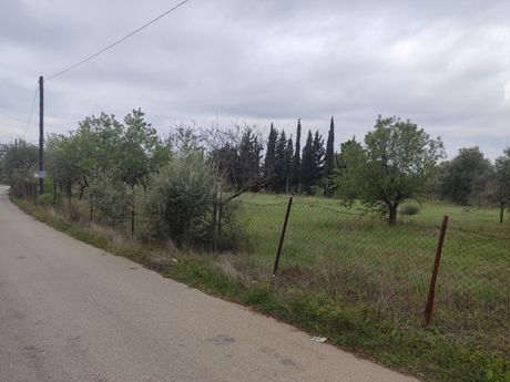 Αγροτεμάχια 5.130 τ.μ. για πώληση