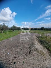 Οικόπεδο 5.191 τ.μ. για πώληση, Αχαΐα, Ωλένια-thumb-6