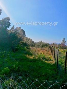 Parcel 1.279sqm for sale-Limni » Sipiada