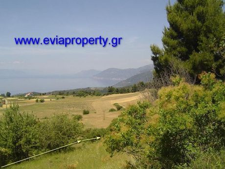Parcel 16.800sqm for sale-Limni » Damia