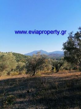 Parcel 7.000sqm for sale-Limni » Kechries