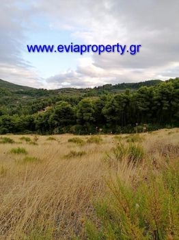 Parcel 21.000sqm for sale-Limni » Retsinolakkos