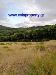 Αγροτεμάχια 21.000 τ.μ. για πώληση