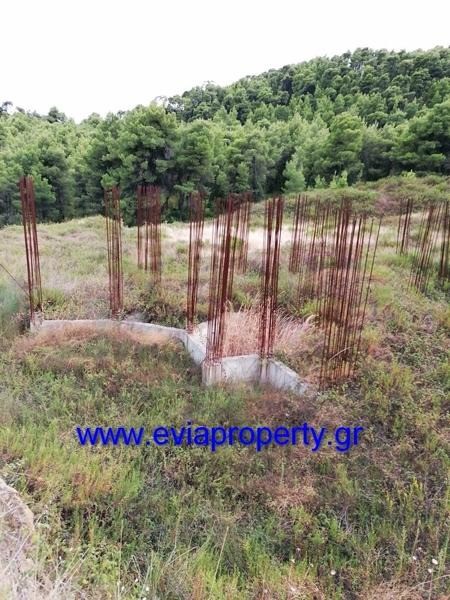 Αγροτεμάχια 21.000 τ.μ. προς πώληση, Ρετσινόλακκος