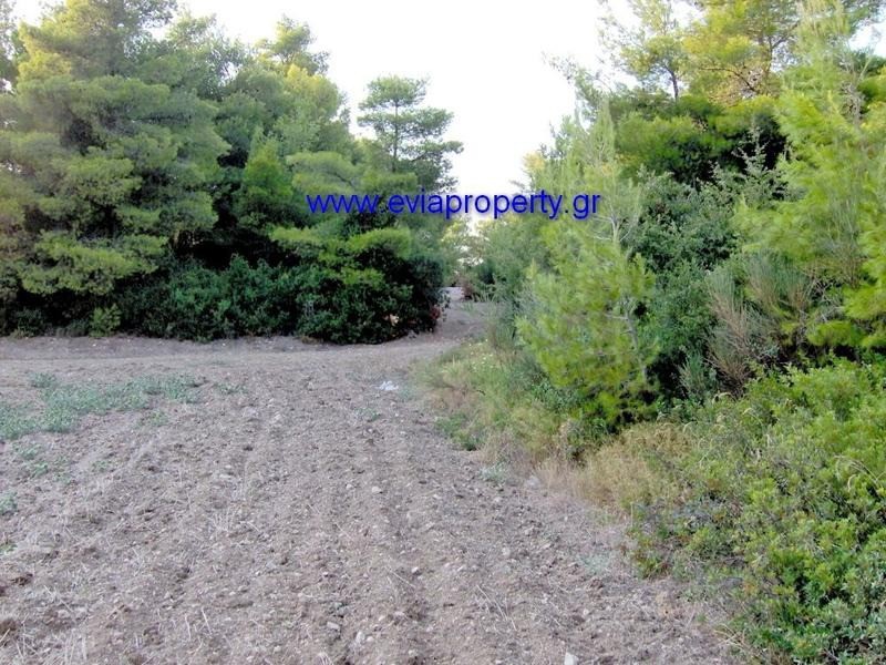 Αγροτεμάχια 5.578 τ.μ. προς πώληση, Ροβιές