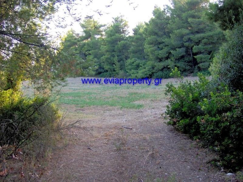 Αγροτεμάχια 5.578 τ.μ. προς πώληση, Ροβιές